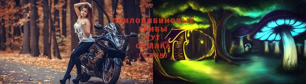 шишки Навашино