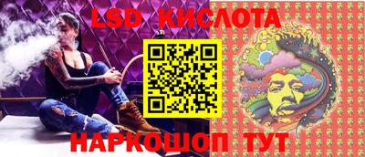 стаф Берёзовский