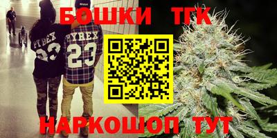 амф Кандалакша