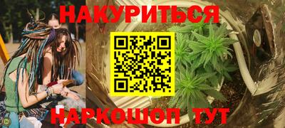 стаф Берёзовский