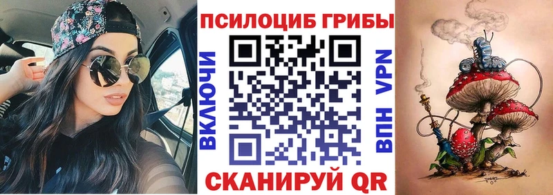 где продают наркотики  Новоалександровск  Галлюциногенные грибы Psilocybine cubensis 