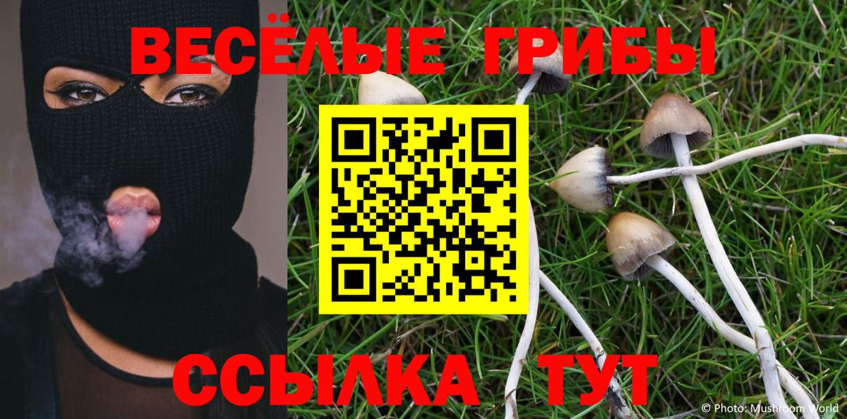 Псилоцибиновые грибы Cubensis  Псилоцибиновые грибы ЛСД  Вход с VPN  Новоалександровск 