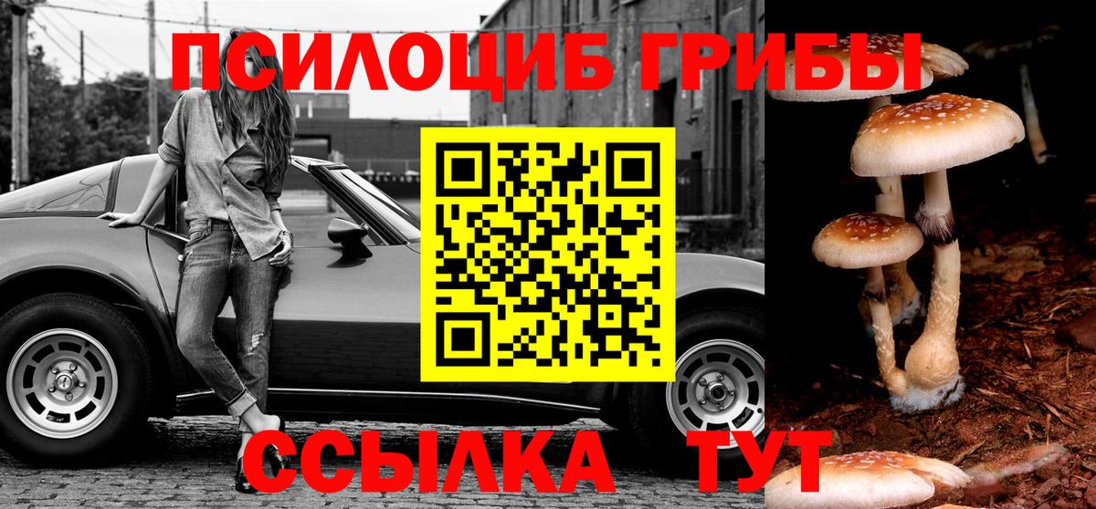 Галлюциногенные грибы Psilocybe Новоалександровск