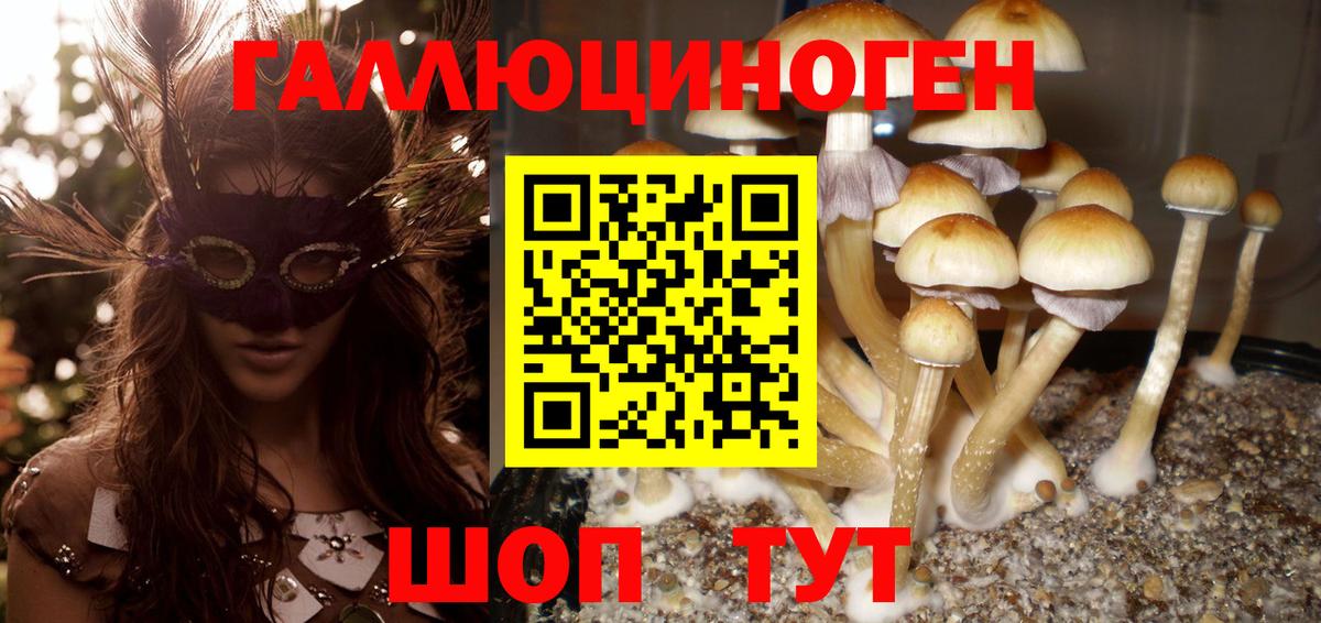Галлюциногенные грибы мицелий Новоалександровск